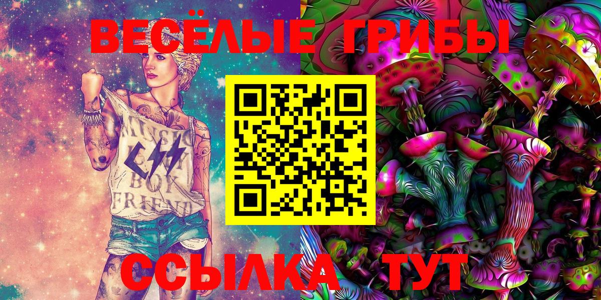 Галлюциногенные грибы MAGIC MUSHROOMS  Вход с VPN  Дюртюли  Псилоцибиновые грибы Cubensis 